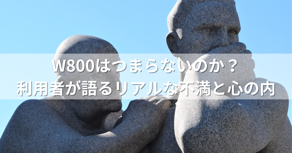 W800はつまらないのか？利用者が語るリアルな不満と心の内