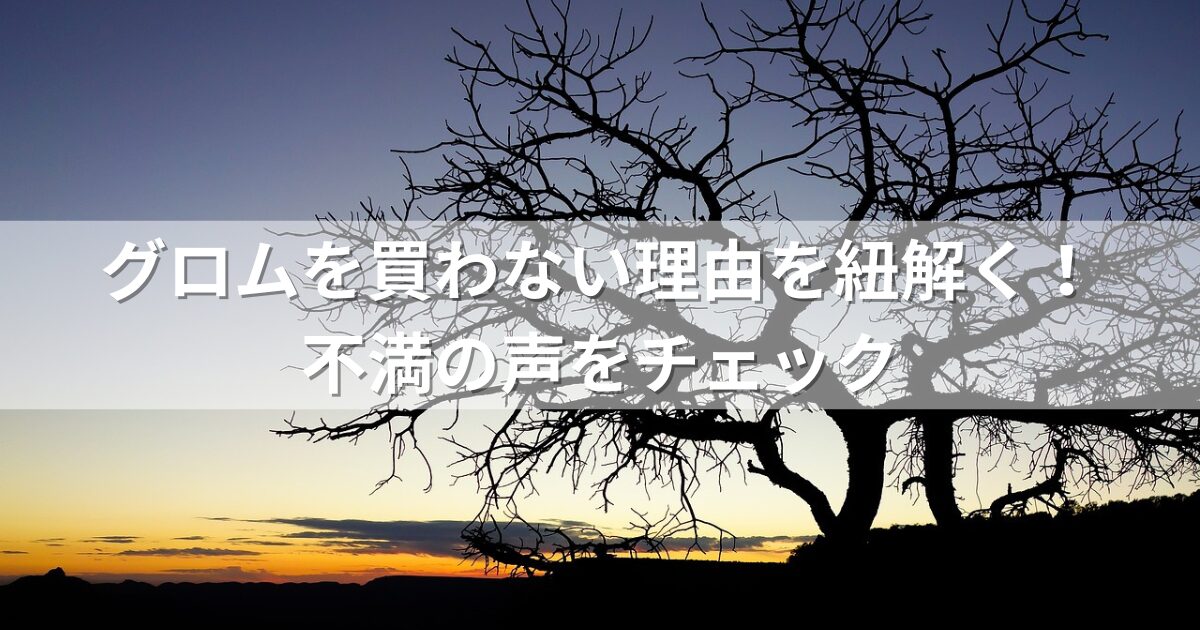 グロムを買わない理由を紐解く！不満の声をチェック