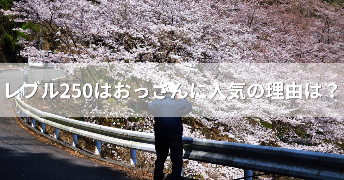 レブル250はおっさんに人気の理由は？