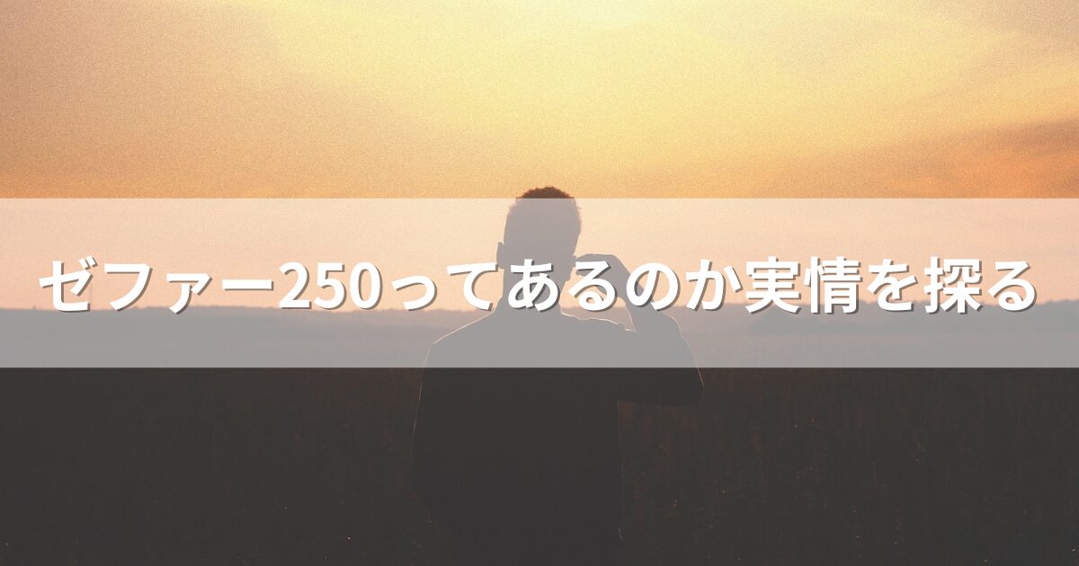 ゼファー250ってあるのか実情を探る