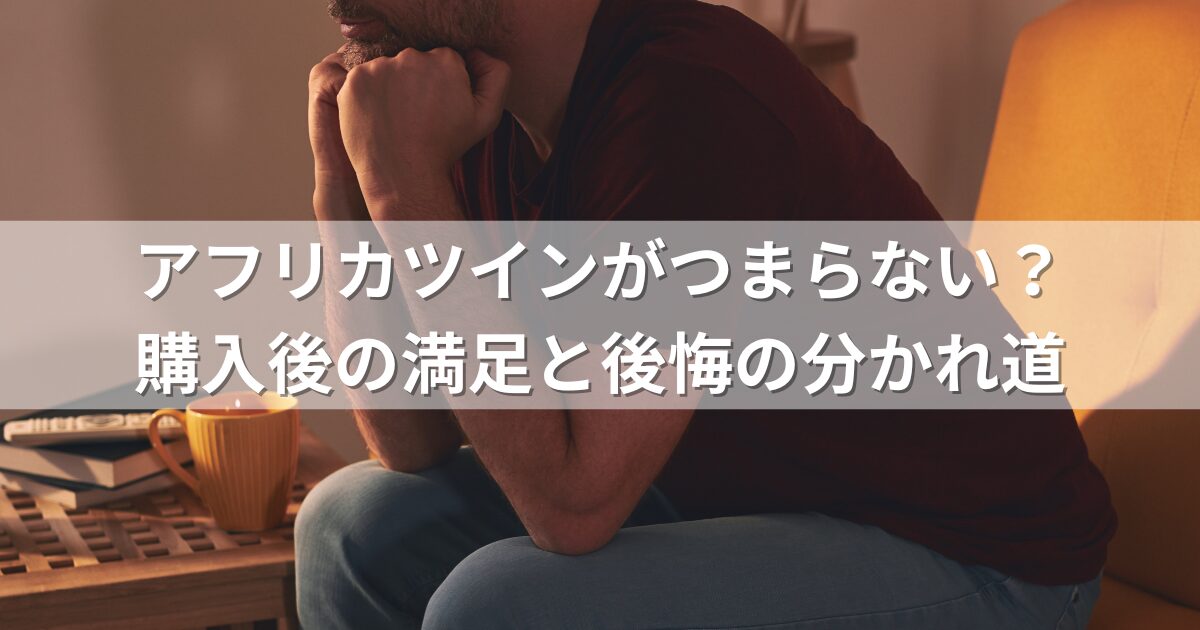 アフリカツインがつまらないってホント？購入後の満足と後悔の分かれ道