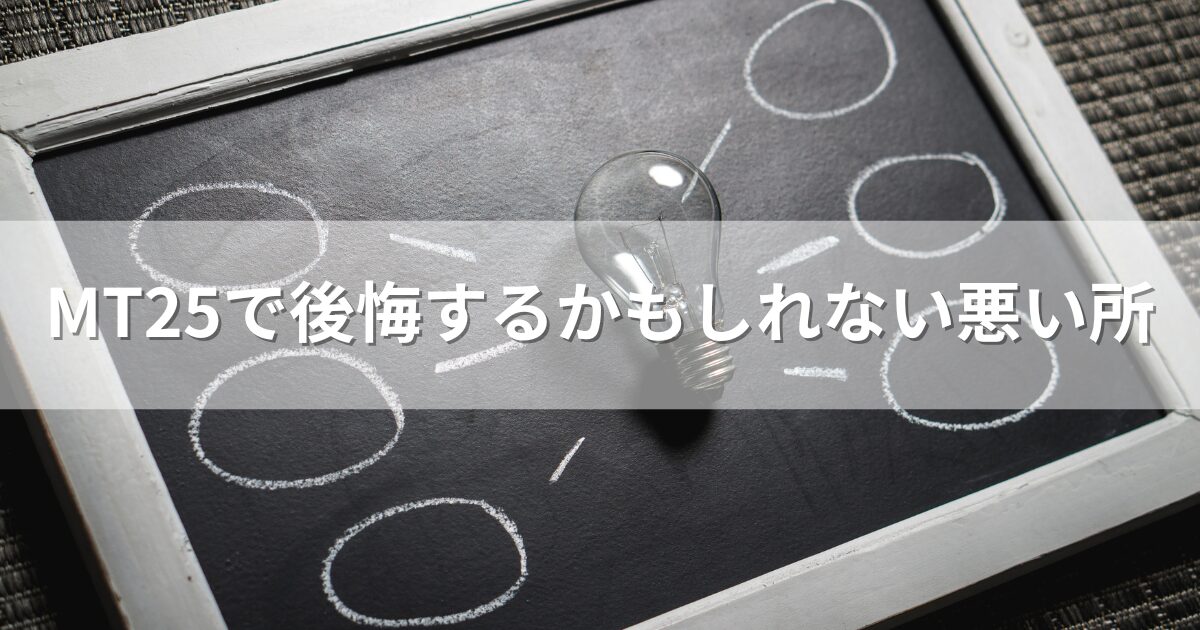 MT25で後悔するかもしれない悪い所