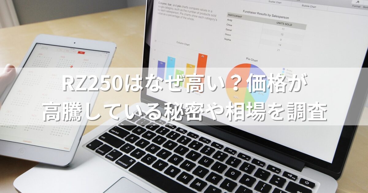 RZ250はなぜ高い？価格が高騰している秘密や相場を調査