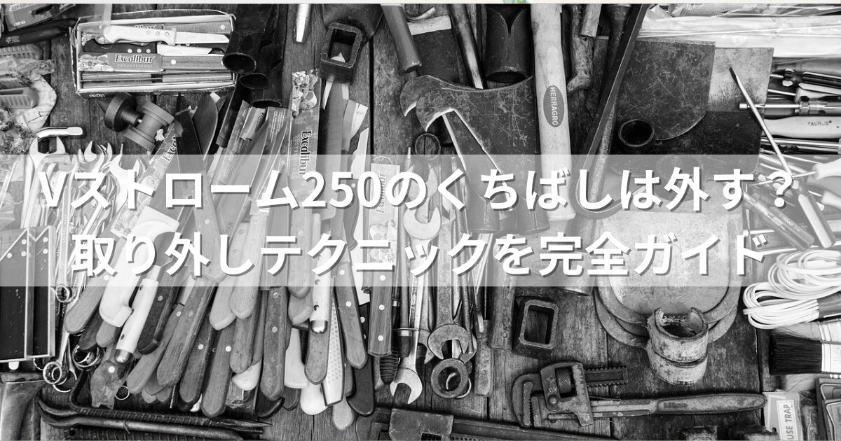 Vストローム250のくちばしは外す？取り外しテクニックを完全ガイド