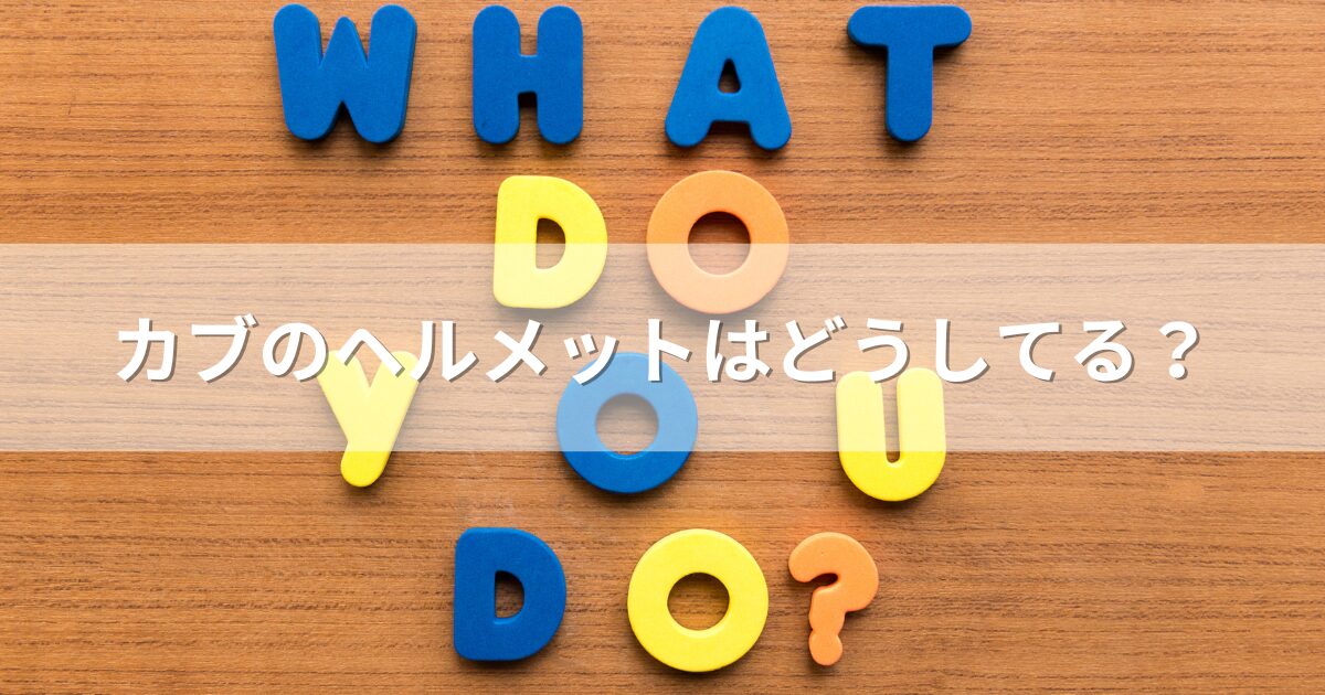 カブのヘルメットはどうしてる？